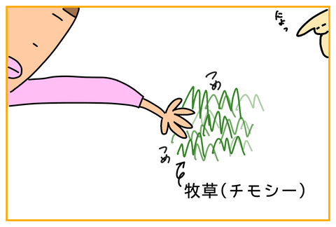 F03B19C7-3D91-4C39-9508-C6A7E8DE7C1C