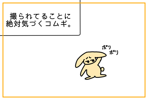 5C082BFD-6B82-4AF0-BE3F-822398A7F2BC