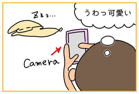 24BE2C3D-F50A-4580-BA6E-A3B6C3B4C8EC