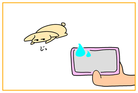 15D04349-981E-469E-80A2-63A1B7CF7E50