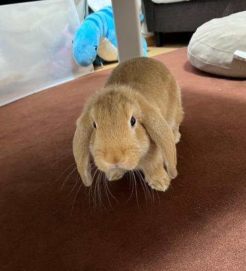 61183EDD-ED09-4986-9CC0-FCC04D4472FC