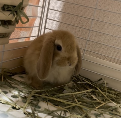 AE9ED397-D79D-4F63-A635-A95D0D144348