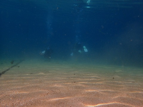 砂浜側の浅場