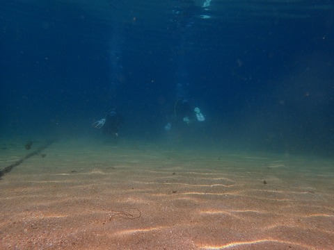 砂浜側の浅場