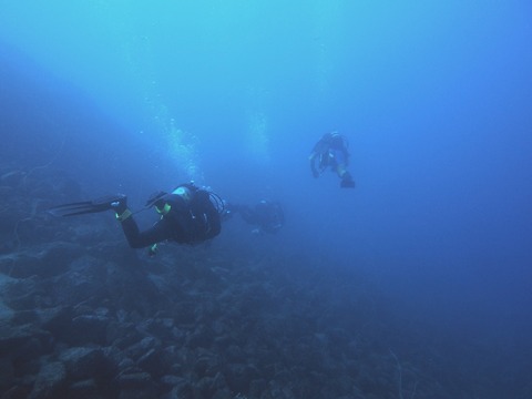 淡島の海中by海友倶楽部様 (1)