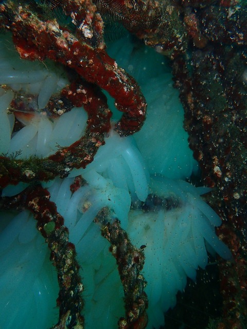 P8222471