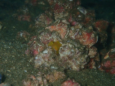 PA020764