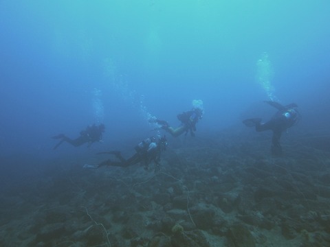 淡島の海中by海友倶楽部様 (2)