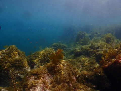 浅場は意外に良かった