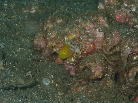 P8120996
