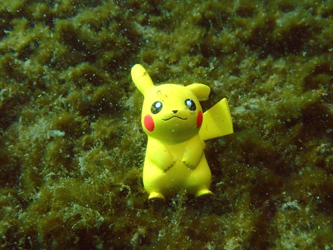 唯一平沢でピカチューゲットbyピースドルフィンキクチさん