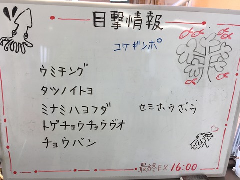 生物目撃情報掲示板@平沢マリンセンター