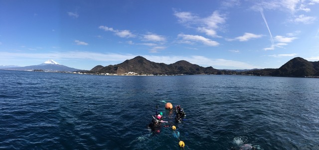 久々に凪の良い淡島@平沢マリンセンター