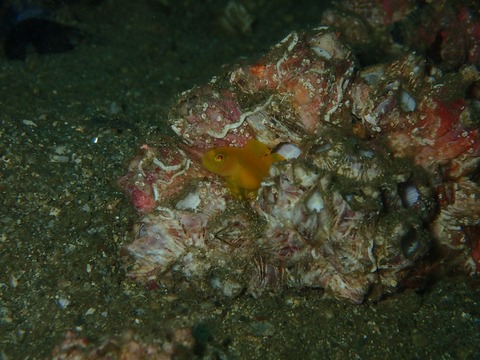 PA020779
