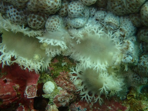 P5010283