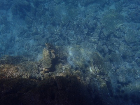 水面から撮影今日の淡島 (1)