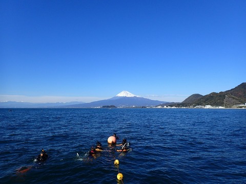 淡島の海