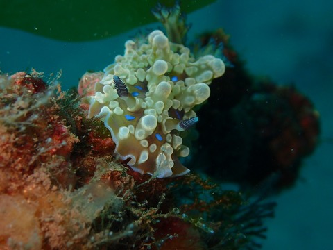 P1260476