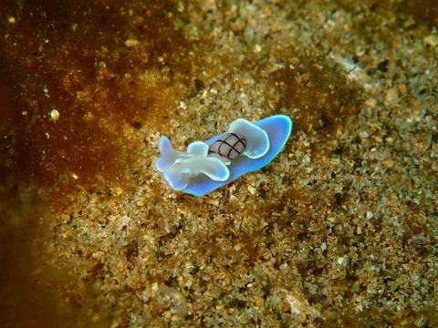 P2230063