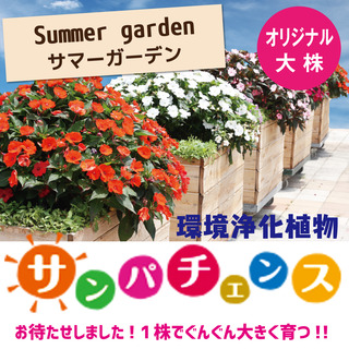 63E242D2-CD90-45D9-AE14-26783AB39202