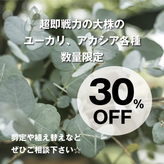 3C468B2A-1E42-4CF0-9C7A-7D2542E418F1