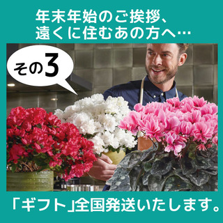 48666C1C-2D56-4B9E-A50D-B3463C9313A8