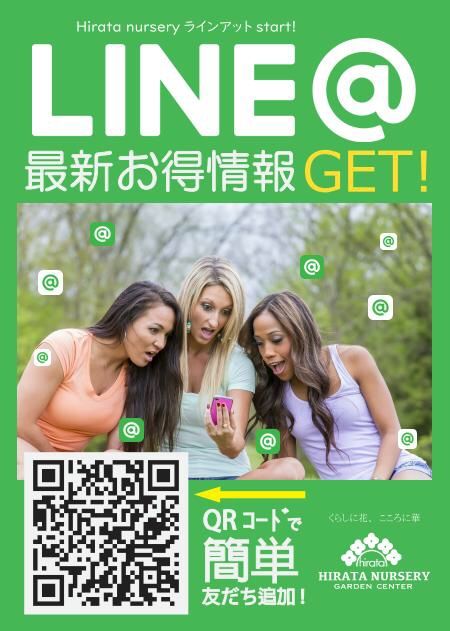 Line スペシャルキャンペーン 熊本店 平田ナーセリー熊本店