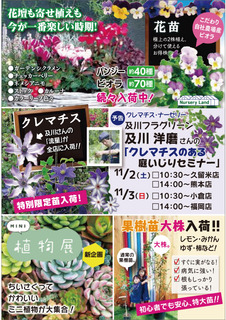 image (5)