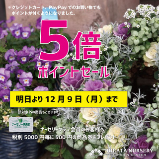 593E9BA5-200F-42E9-ABBF-CF193CDCB97A