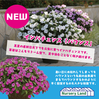 DD296B4F-54F5-4C1B-81AF-E64C4D404439