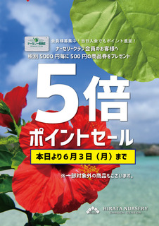 0CF47379-885F-450E-BA50-58388DA0C555
