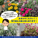 CE74F291-2699-43AF-85D2-ECA5370CF64C