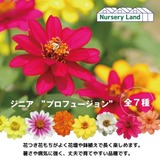 28C1CF0C-9313-430A-8024-8963011B3A49