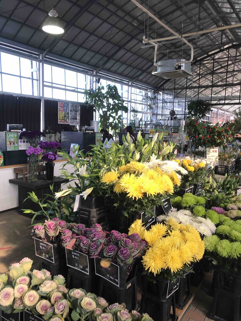 年末年始は 小戸店 平田ナーセリー福岡西区小戸店villaggio