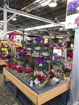 IMG_1676