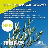 626B37D5-0C93-43E5-AA5E-9FD1EC34AB84