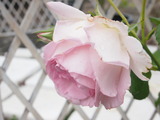 8854D50A-4EF7-43B9-9138-1959F2916FB3