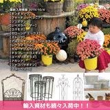 E4D37E4D-A74B-4A1D-AB92-1292F0C99341