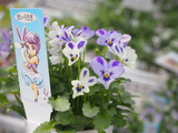 2F77B875-10A7-4F2C-8A7B-089A8B636FF0