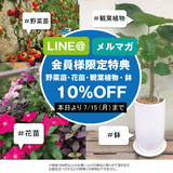 43530A49-B400-46C1-81F9-6A9EC6AB026E