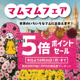 CF5BCFA5-4C76-452A-83ED-873AF8F12635