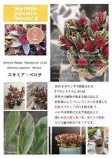 A2F17466-B997-4B05-A433-4227B1729266