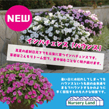 B423A557-4A41-4F66-9B59-C7F313AEE2CD