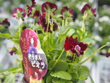 B7F51203-0E29-473B-9791-B42E3A194421