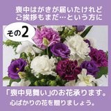 21BBFAFD-8F61-4E28-9747-A0F81726F6B5