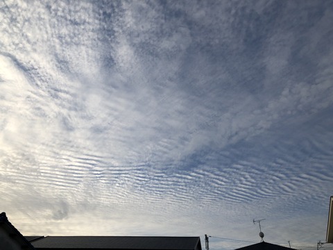 945D9D5B-66A1-4969-81D8-CF47E8952B9F