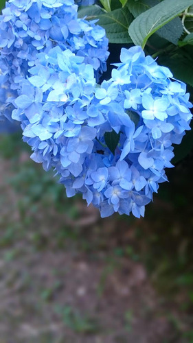 フォト2