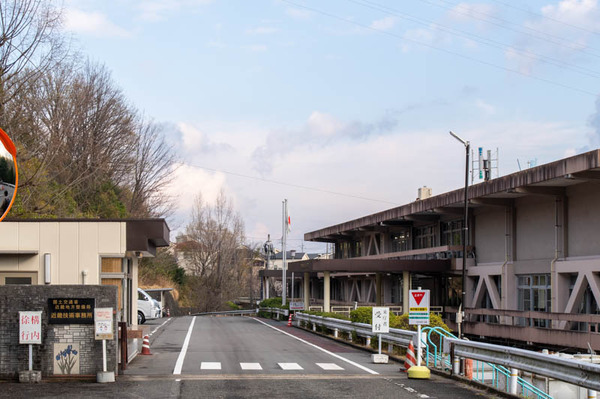 dx-21032519