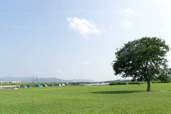 淀川河川公園-1908041