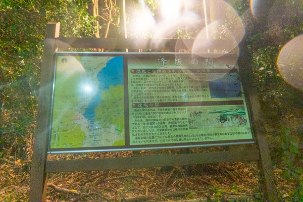 東海道-19111842